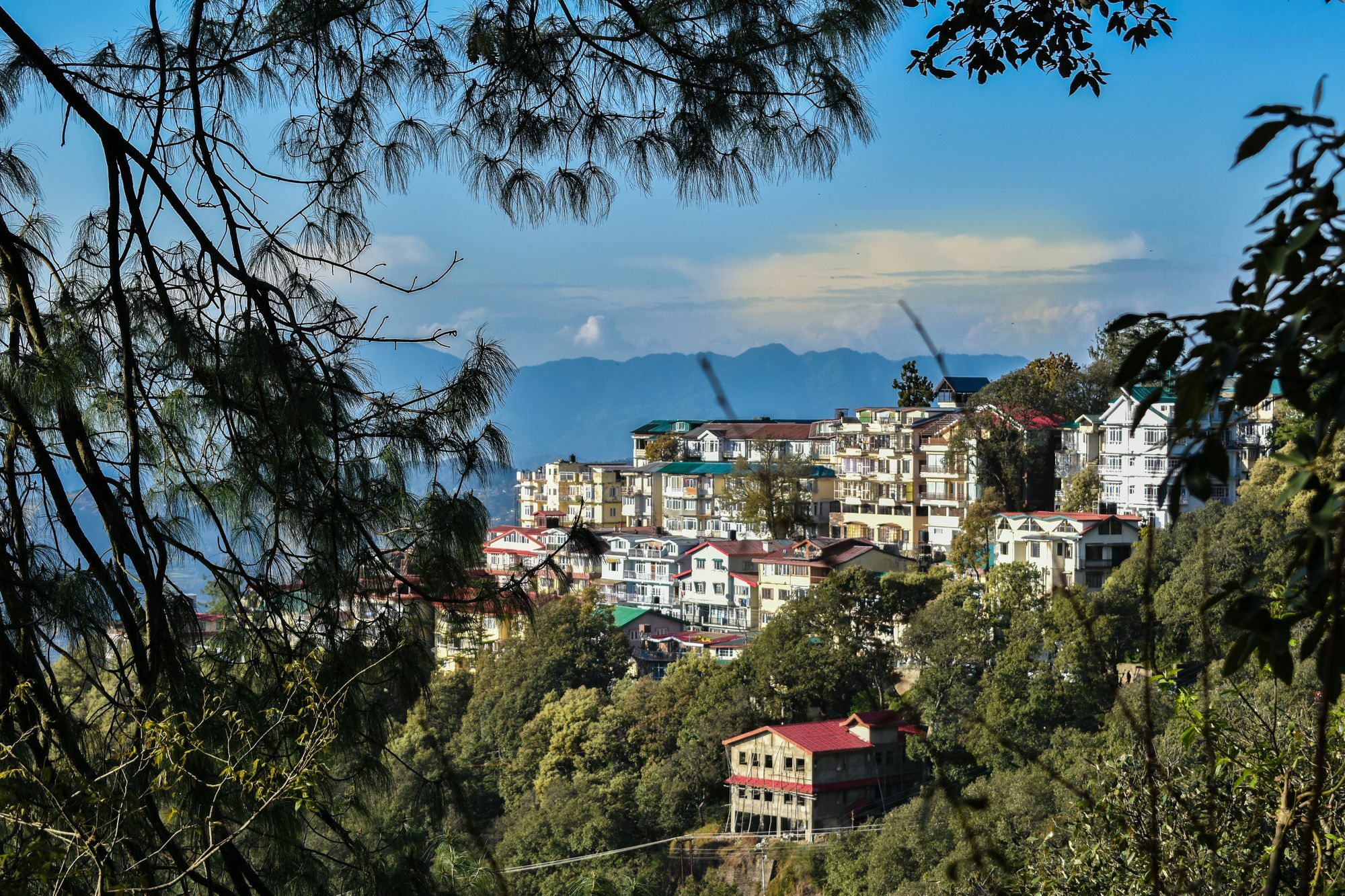 Dhanlakshmi B And B Hotel Shimla Exterior photo